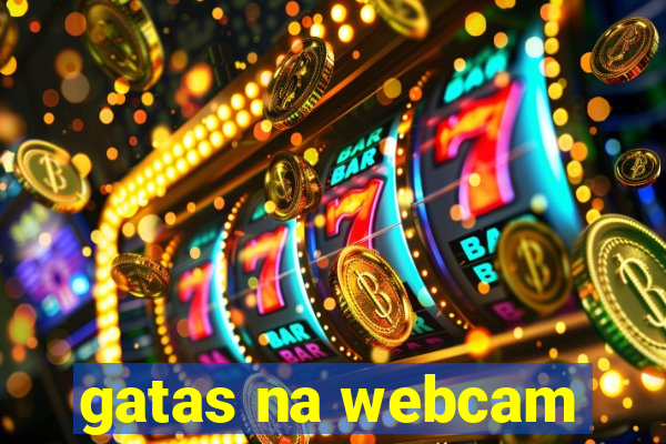 gatas na webcam